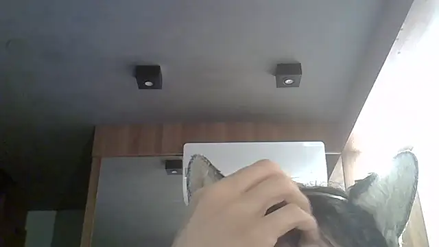 Snapshot of Skinny-Kitten chatting on February 17, 2026, 1:35 am Skinny-Kitten online show from February 17, 2026, 1:35 am