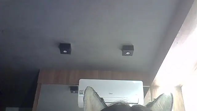 Snapshot of Skinny-Kitten chatting on February 22, 2026, 2:45 am Skinny-Kitten online show from February 22, 2026, 2:45 am