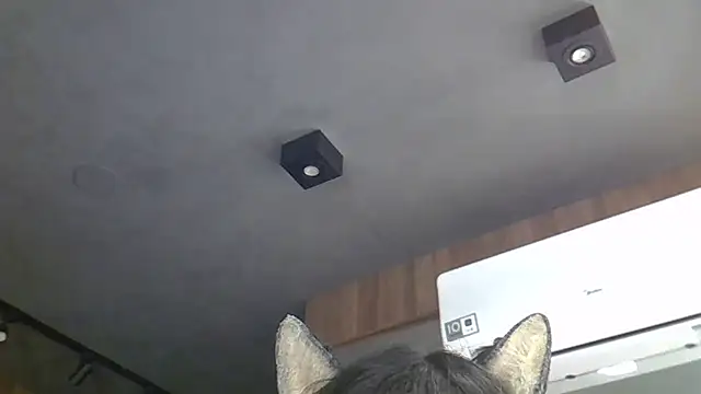 Snapshot of Skinny-Kitten chatting on March 4, 2026, 5:24 am Skinny-Kitten online show from March 4, 2026, 5:24 am