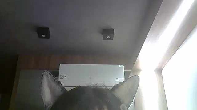 Skinny-Kitten online show from March 27, 2026, 8:37 am