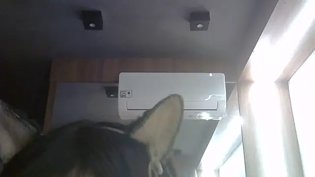 Snapshot of Skinny-Kitten chatting on June 27, 2026, 5:23 am Skinny-Kitten online show from June 27, 2026, 5:23 am