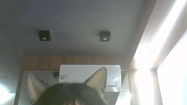 Snapshot of Skinny-Kitten chatting on July 17, 2026, 11:53 pm Skinny-Kitten online show from July 17, 2026, 11:53 pm