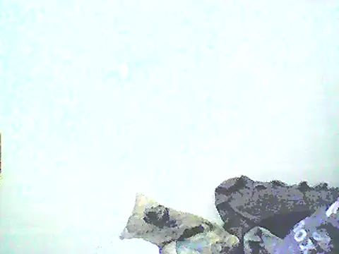 Snapshot of Stormward chatting on January 12, 2025, 8:46 am Stormward online show from January 12, 2025, 8:46 am