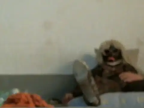 qwer1234 online show from March 5, 2026, 5:47 am