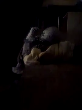 Daza67 online show from March 4, 2026, 6:25 pm