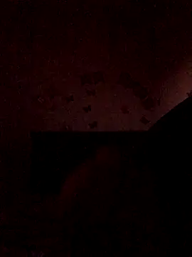 Snapshot of The_wickles_4443 chatting on November 22, 2025, 11:04 pm The wickles 4443 online show from November 22, 2025, 11:04 pm