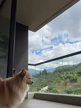 Snapshot of Helenbronwx chatting on January 6, 2025, 6:52 pm Helenbronwx online show from January 6, 2025, 6:52 pm