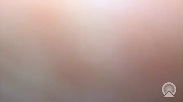 Aulonocara86 online show from December 17, 2025, 6:52 am