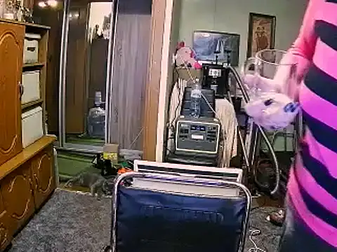 LOLA8888 online show from December 4, 2025, 12:03 pm