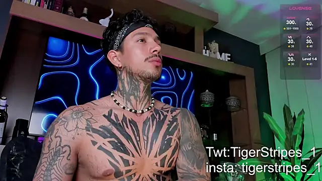 Snapshot of TigerStripes1_ chatting on March 9, 2025, 12:31 am TigerStripes1 online show from March 9, 2025, 12:31 am