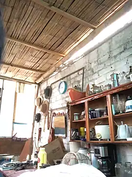 kvr27 online show from November 28, 2025, 11:35 am